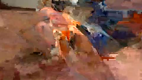 Flying Bird online show from January 18, 10:46 pm