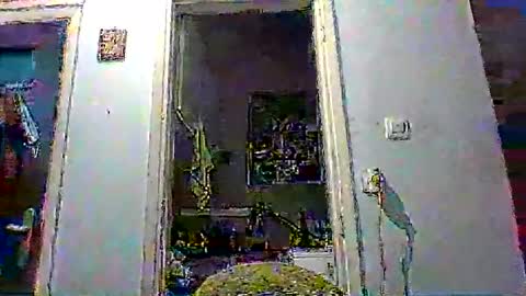 mppempis81 online show from January 8, 3:58 pm