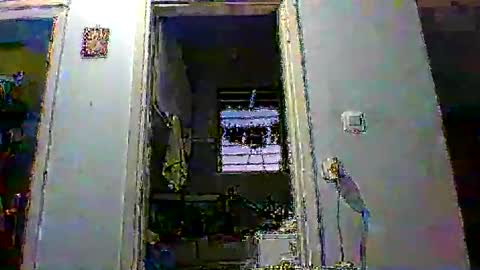 mppempis81 online show from January 14, 3:50 pm