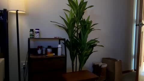 Snapshot of mps908 chatting on February 1, 8:40 pm Sequoia-Cocked Hombre de Sur online show from February 1, 8:40 pm