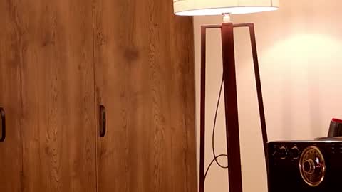 Mr Evans online show from October 29, 3:47 pm