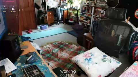 ninko online show from February 13, 8:34 pm