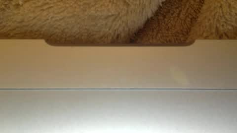 mr_himm online show from April 23, 12:56 am