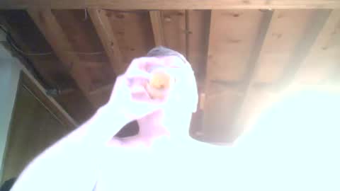 mrblade666 online show from January 12, 8:47 pm