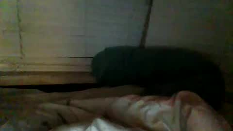 mrgray11xxx aussie online show from December 20, 2:38 pm