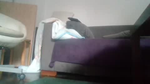 Nikola online show from October 18, 9:54 am