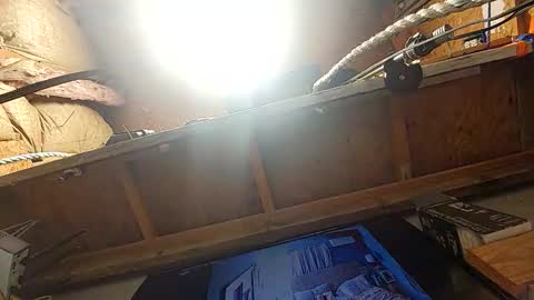 Msivy online show from February 8, 12:19 pm