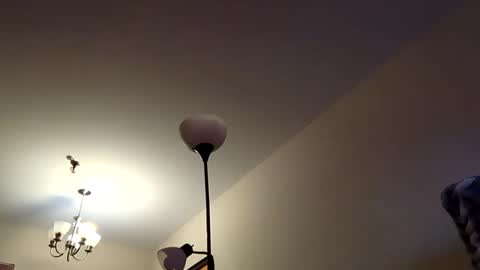 mutualmasturbatorman online show from April 19, 4:28 pm