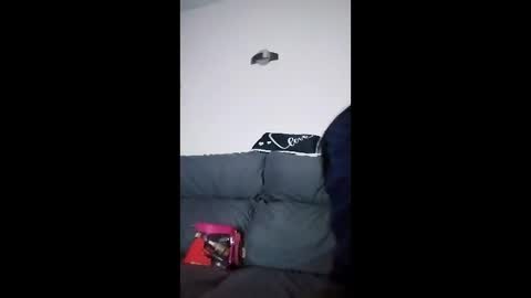 mweed95 online show from December 4, 5:06 am