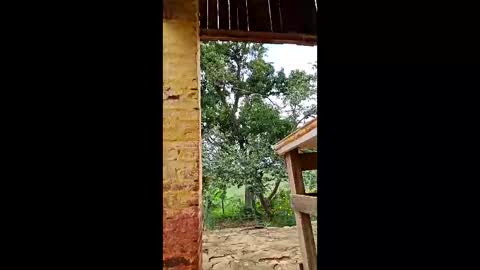 mwmgaara online show from March 12, 2:56 pm