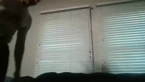 vienna online show from November 16, 10:26 pm