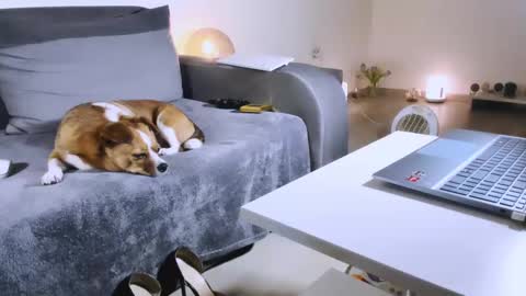 Anda online show from February 17, 10:58 pm