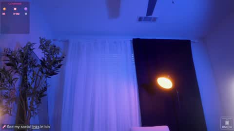 Liss Next stream December1 online show from February 4, 10:55 pm