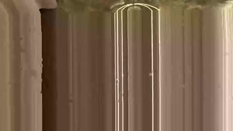 Snapshot of mypleasure001 chatting on November 12, 3:12 pm Ricky online show from November 12, 3:12 pm