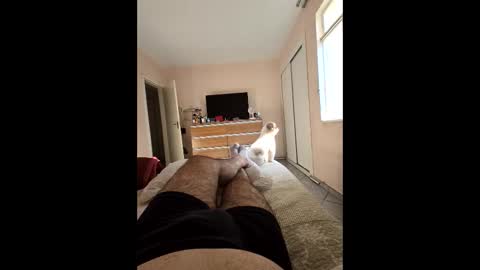 Snapshot of mysterbearmg chatting on September 27, 6:46 pm mysterbearmg online show from September 27, 6:46 pm