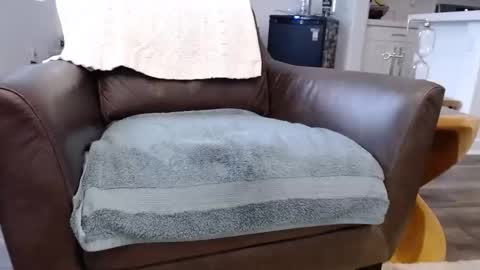 Snapshot of n2deeeep chatting on November 10, 3:55 pm Lynn online show from November 10, 3:55 pm