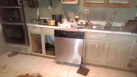 nakednate1780 online show from December 6, 1:29 am