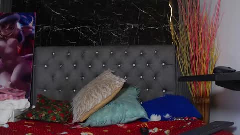 Snapshot of nalaroy chatting on December 28, 11:19 am NALAROY online show from December 28, 11:19 am