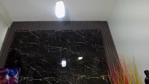 Snapshot of nalaroy chatting on January 4, 10:27 am NALAROY online show from January 4, 10:27 am