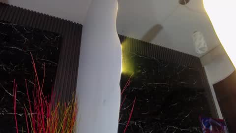 Snapshot of nalaroy chatting on January 11, 12:40 pm NALAROY online show from January 11, 12:40 pm