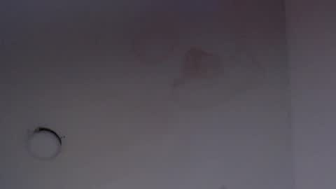 Snapshot of nalaroy chatting on March 12, 6:51 am NALAROY online show from March 12, 6:51 am