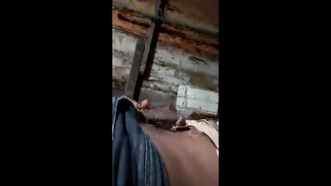 Snapshot of nalmudaststir chatting on April 14, 5:41 pm nalmudaststir online show from April 14, 5:41 pm