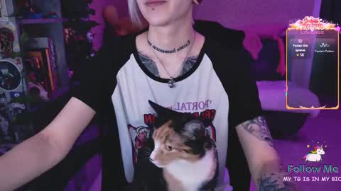 Monday-Friday 12-4 AM and 6-9 AM New York time online show from February 1, 8:51 pm