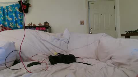 Snapshot of nannabaldur chatting on December 17, 8:32 pm Nanna Baldur online show from December 17, 8:32 pm