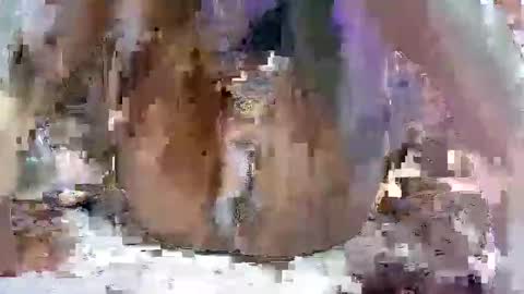 nasty toy online show from January 9, 6:17 am