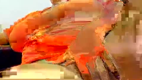 Snapshot of natasha_klaus1 chatting on October 23, 2:44 am natasha_klaus1 online show from October 23, 2:44 am