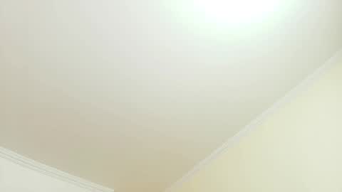 Kitten online show from September 25, 11:36 am