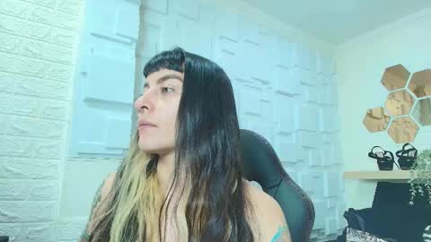 Kitten online show from November 22, 11:20 am