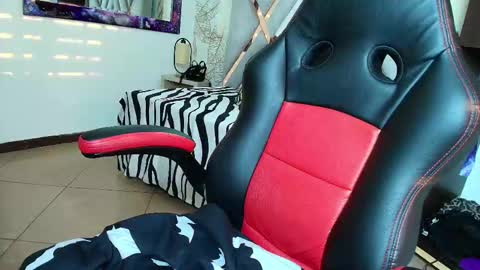 Kitten online show from February 27, 11:32 am