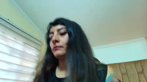 Kitten online show from March 2, 11:39 am