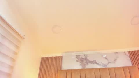 Kitten online show from May 12, 10:56 am