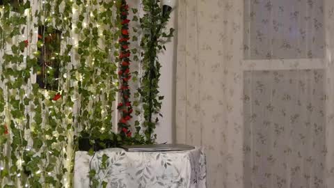 Snapshot of naughtyhomemade17 chatting on May 17, 6:48 pm Mya Alexya online show from May 17, 6:48 pm