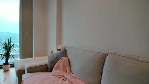 Gigi Chu  online show from February 10, 2:37 pm