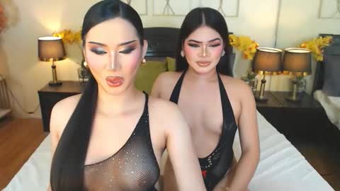 F R A N Z I A online show from November 11, 10:04 am