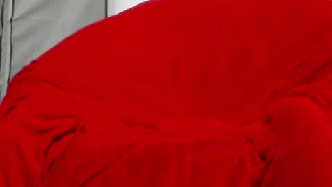 Snapshot of neccesitysexxxxx chatting on June 1, 7:48 pm neccesitysexxxxx online show from June 1, 7:48 pm