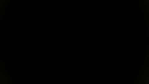 Snapshot of needfullthx chatting on November 8, 7:34 pm Sebastian online show from November 8, 7:34 pm