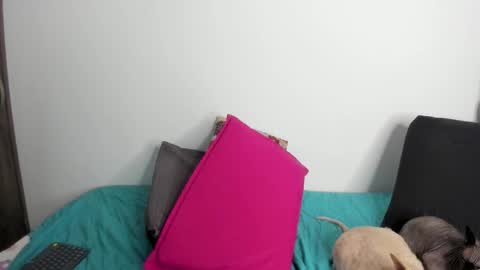 Nei turn green online show from September 22, 1:29 am