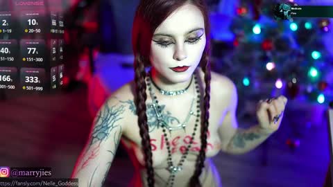 Snapshot of nelle_ chatting on December 30, 4:19 pm    online show from December 30, 4:19 pm