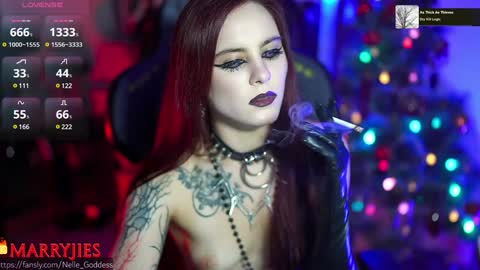 Snapshot of nelle_ chatting on January 1, 12:44 pm    online show from January 1, 12:44 pm