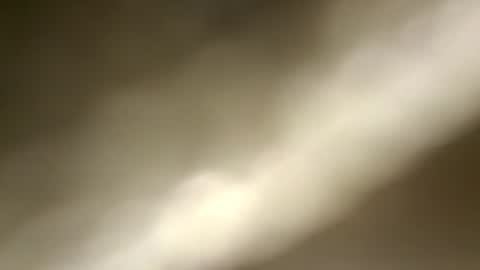 Snapshot of nembo1974 chatting on July 28, 8:12 pm boo online show from July 28, 8:12 pm