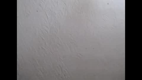 Nensy online show from November 14, 7:45 pm