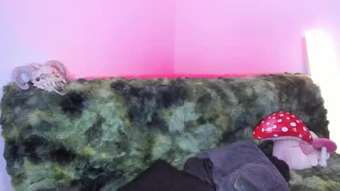 Marie    online show from November 15, 8:33 am