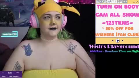 Snapshot of nevermakeawish chatting on February 17, 3:40 pm Wishs Playground online show from February 17, 3:40 pm