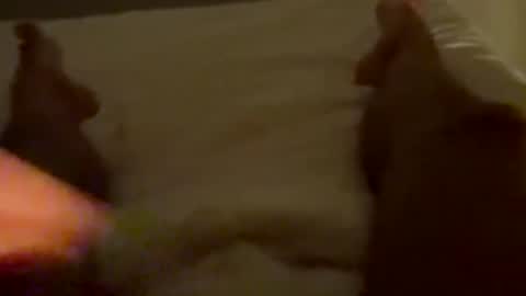 new25cam online show from January 10, 3:52 am