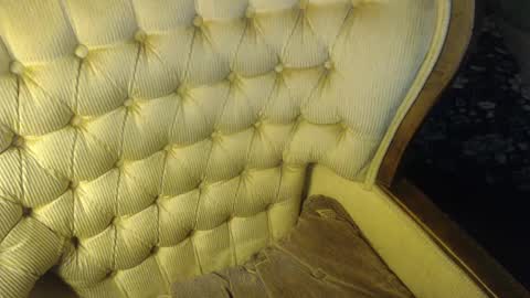 Lilly  online show from February 2, 4:11 pm