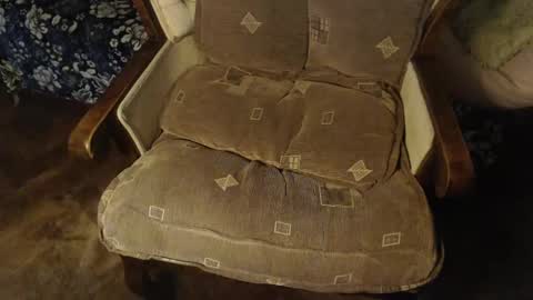 Lilly  online show from February 2, 7:14 pm